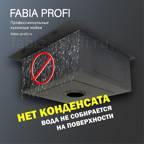    FABIA PROFI 6050 (3,00,8 220)    (++) 605033